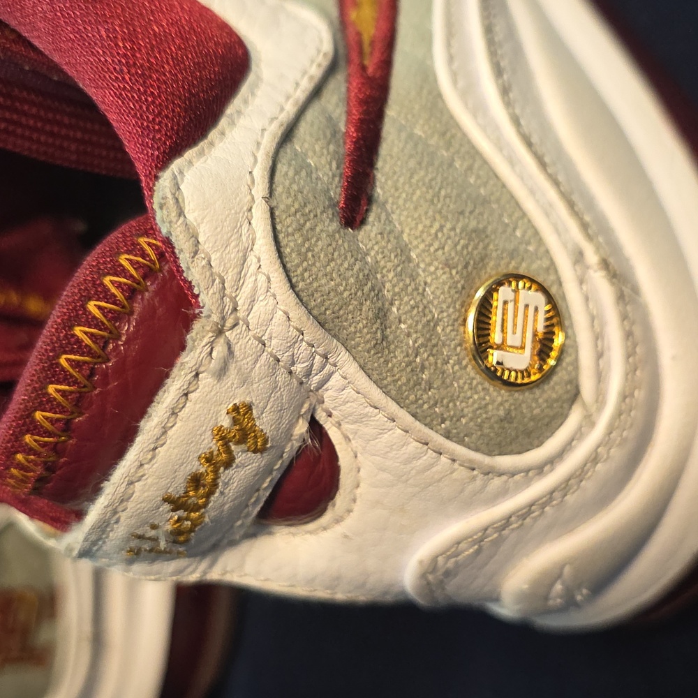 Lebron 7 MVP Historu - Picture 7 of 14